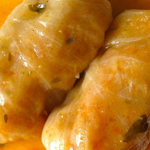 Fresh hand-made cabbage rolls